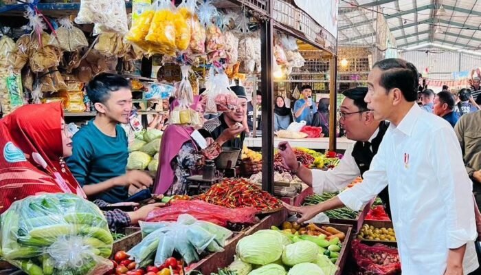 Presiden Jokowi Meninjau Harga Barang Kebutuhan Pokok Pasar Parungkuda