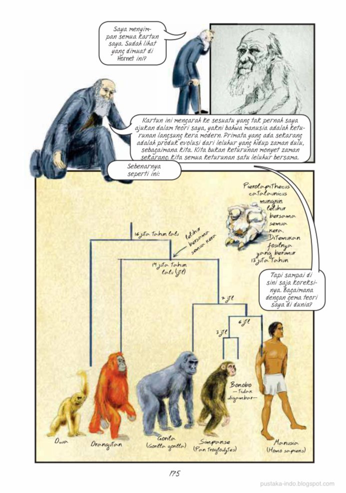 Hari Evolusi 24 November