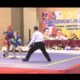 Porwil Wushu