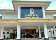 Ada Apa Dengan Pj Sekda Tuba Diduga Membiarkan Penunggakan Pajak Kendaraan Dinas (Randis)