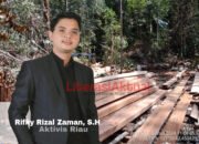 Maraknya Illegal Logging di Giam Siak Kecil, Rifky Minta APH Segera Bertindak!