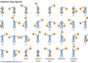 Hari Pramuka, Gerakan Pramuka Indonesia