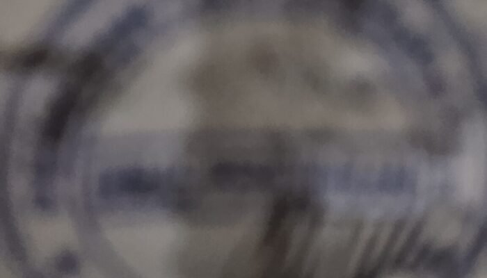 Dugaan Pemalsuan Legalisir Ijazah Jadi Bahan Protes Warga atas Pelantikan Ketua BPK Manunggal Jaya