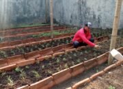 FEB UI Perluas Pengabdian Masyarakat di Depok: Komunitas Berkebun dan Vertical Garden untuk Dukung Net Zero Emission