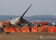 Kecelakaan Pesawat Jeju Air di Muan: Serangan Burung atau Masalah Sistemik?