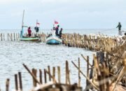 Menteri KKP Tegaskan Penyelidikan Pagar Laut di Tangerang Masih Berlanjut