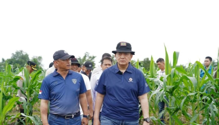 Kapolda Riau Tinjau Dua Lokasi Ketahanan Pangan di Kampar, Dukung Program Prioritas Presiden