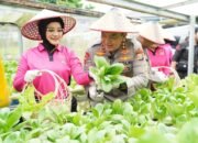 Polda Riau Luncurkan Program Pekarangan Pangan Lestari untuk Dukung Ketahanan Pangan