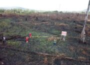 Kebakaran Hutan Meluas di Riau, Tujuh Daerah Terancam, Pemprov Siapkan Status Siaga