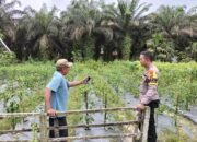 Dukung Program Pemerintah, Polsek Ukui Ajak Warga Manfaatkan Pekarangan untuk Bertani