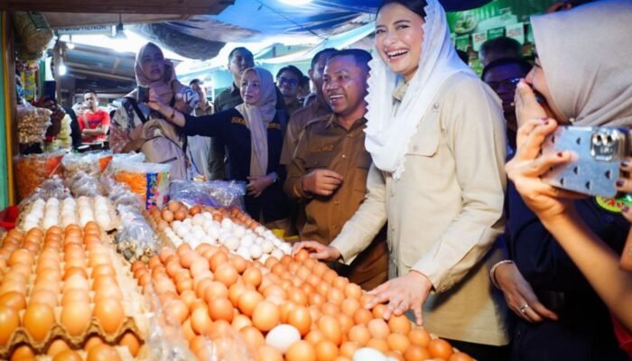 Dorong Revitalisasi Pasar, Wamendag Tinjau Langsung Pasar Cik Puan Pekanbaru