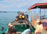 Akses Vital Lumpuh,Warga Pulau Balikukup Bersama Babinsa Serka Wisandi dan Bhabinkamtibmas Sertu Puandi Bersatu Dalam Gotong Royong Renovasi Dermaga