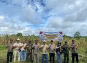Panen Perdana Jagung 1 Juta Hektar: Kolaborasi POLRI, Kementerian RI, dan Mitra Strategis Dimulai di Talisayan