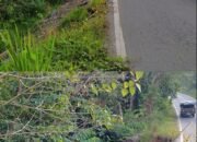 Jalan Provinsi Poros Labanan Longsor, Timbulkan Kemacetan dan Rawan Kecelakaan