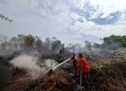 Kebakaran di Tapung: Api Melahap 5 Hektare, Tim Gabungan Kerahkan Water Bombing