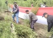 Bareskrim Polri Bongkar Ladang Ganja 25 Hektare di Aceh