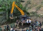 Danrem 031/WB Pimpin Pemusnahan Sawit Ilegal di Tesso Nilo