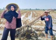 Anak Petani Subang Tembus IPB: Fitri Oktaviani Wujudkan Mimpi dari Sawah ke Kampus Unggulan