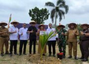 Rutan Pekanbaru Kembangkan Program Kemandirian dengan Tanam 1.905 Bibit Kelapa