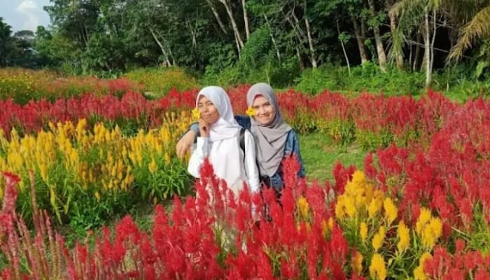 Sinergi Hijau PT PLN Nusantara Power UP Tenayan: Menghidupkan Kembali ‘Nafas’ Wisata di Taman Bunga Impian Okura