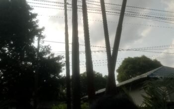 Tragedi Maut di Duri: Keluarga Korban Endus Sindikat Pencurian Tiang Wi-Fi, Diduga Libatkan “Orang Dalam” Telkom