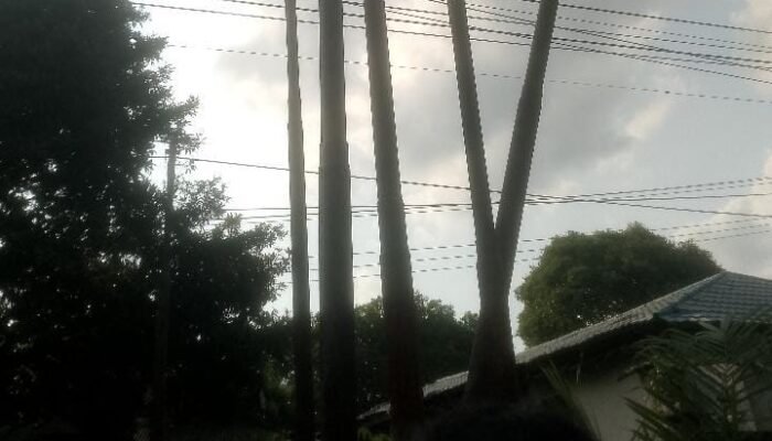 Tragedi Maut di Duri: Keluarga Korban Endus Sindikat Pencurian Tiang Wi-Fi, Diduga Libatkan “Orang Dalam” Telkom