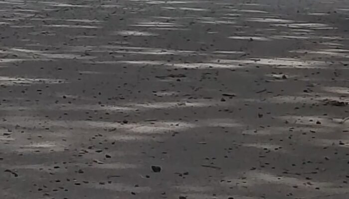 Cangkang Sawit Berhamburan di Jalan Poros Labanan, Teluk dan gunung tabur, Warga Soroti Risiko bagi Pengendara