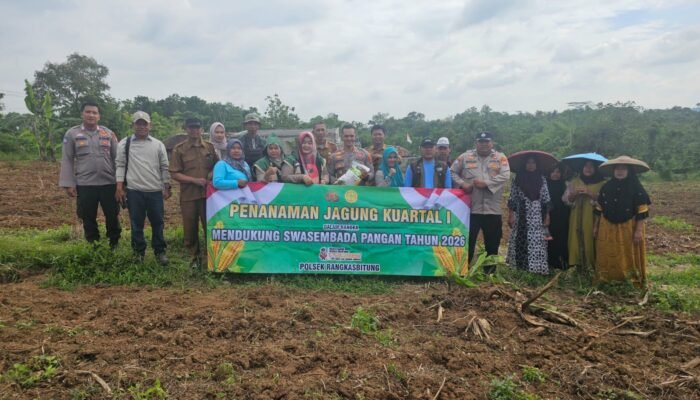 Kapolsek Rangkasbitung Polres Lebak dan Pemerintah Desa Sangiangtanjung Tanam Jagung Hibrida Kuartal I Dengan Luas Lahan 6 H di Dua Lokasi