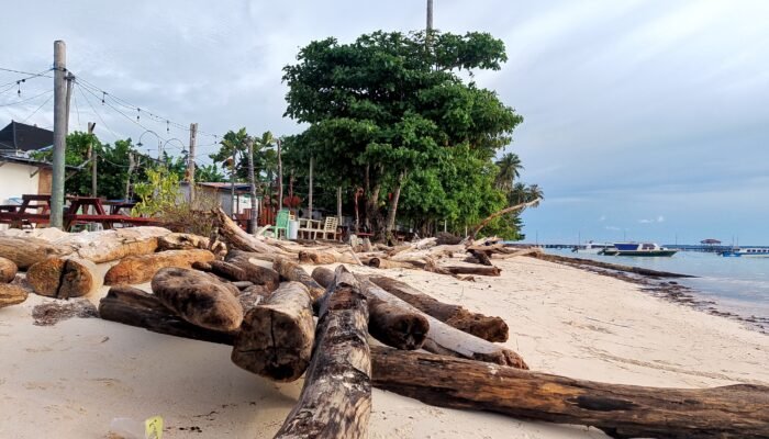 Sampah Kayu Gelondongan Cemari Pantai Maratua, Jadi Tontonan Wisatawan Lokal dan Mancanegara