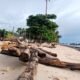 Sampah Kayu Gelondongan Cemari Pantai Maratua, Jadi Tontonan Wisatawan Lokal dan Mancanegara