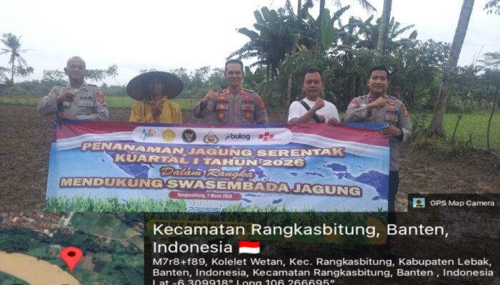 Polsek Rangkasbitung Polres Lebak Melaksanakan Giat Penanaman Jagung Serentak Kuartal I di Kampung Kosa, Mendukung Program Ketahanan Pangan