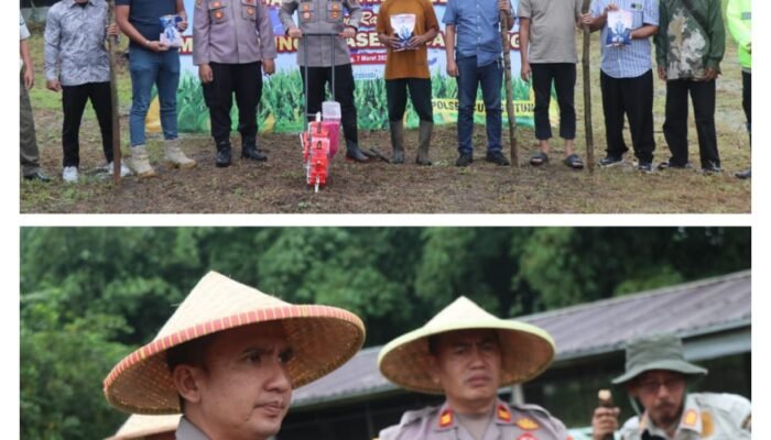 Kapolres Lebak Laksanakan Penanaman Jagung Serentak Kuartal I di Desa Ciburuy Kecamatan Curugbitung