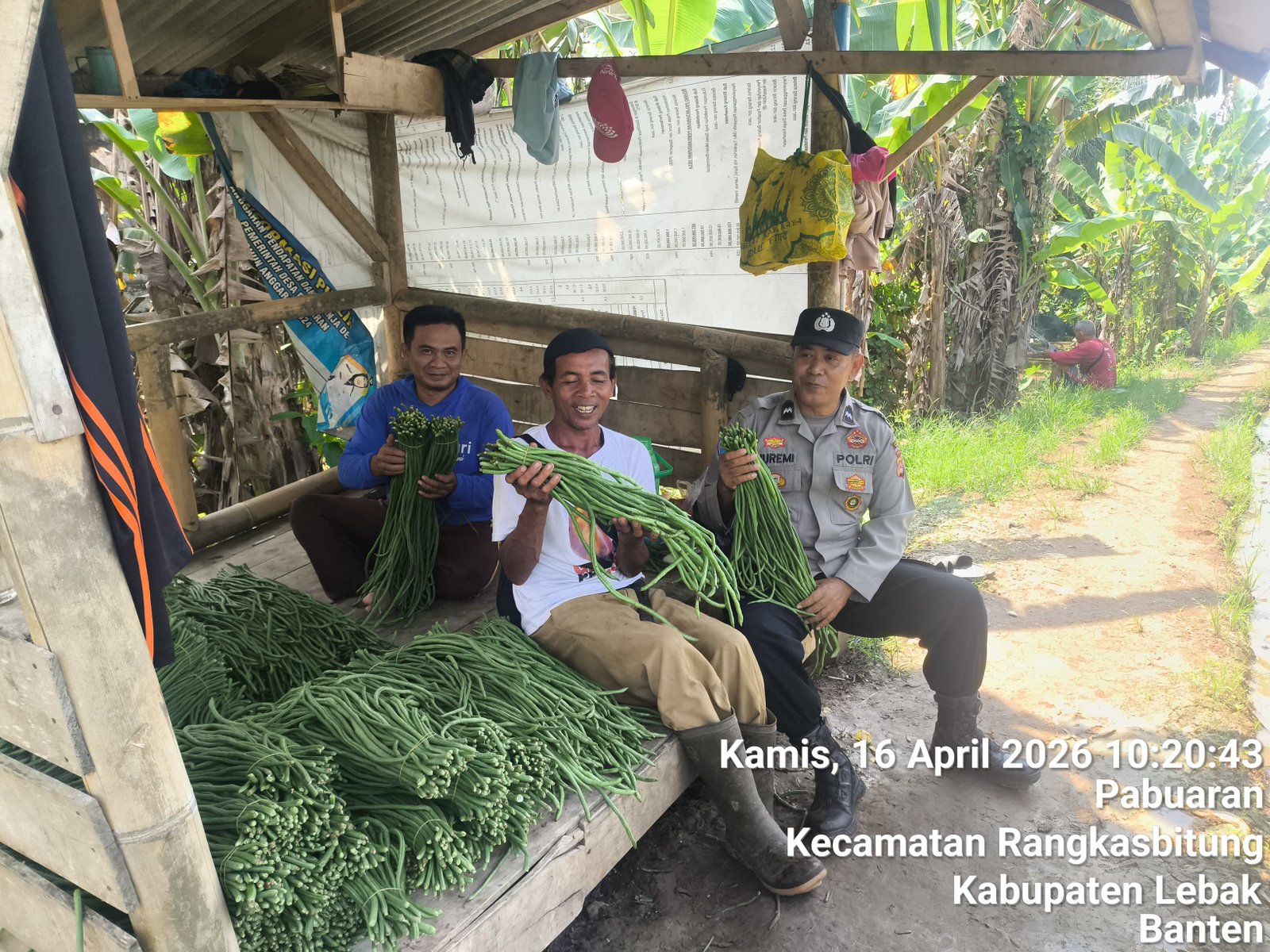 Bhabinkamtibmas Polsek Rangkasbitung Polres Lebak Sambangi Petani Di Desa Pabuaran