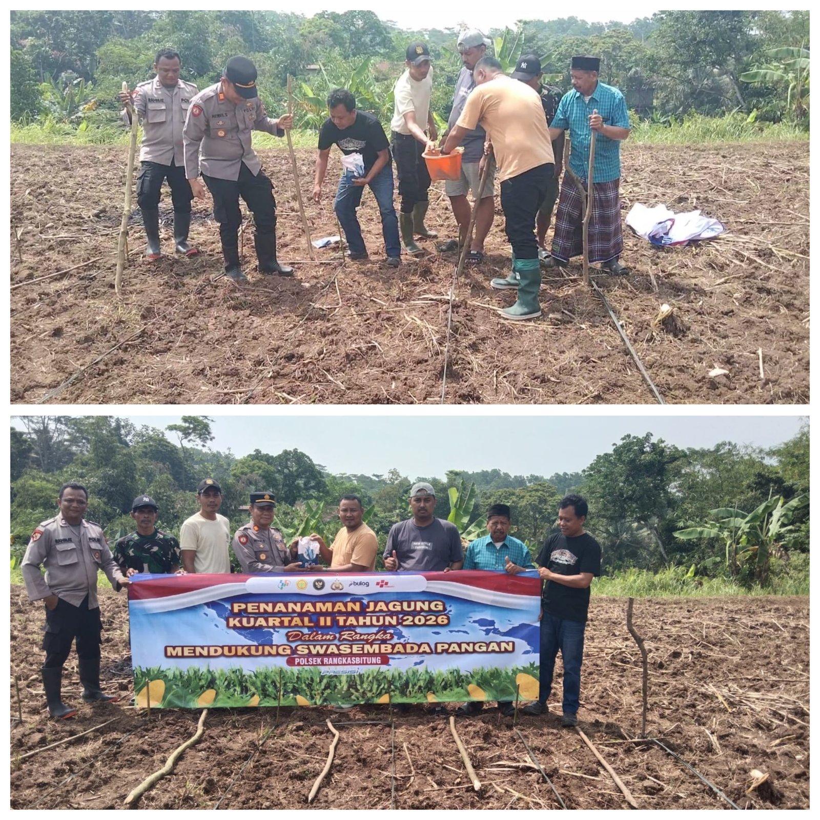 Kapolsek Rangkasbitung Polres Lebak Bersama Kades Mekarsari Tanam Jagung Kuartal II Tahun 2026