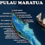 Kadis Disbudpar  Soroti Aktivitas Kapal LOB di Perairan Maratua,Berikut Penjelasannya :