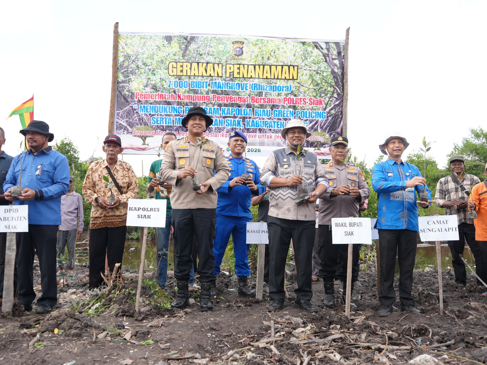 Cegah Abrasi, Polres Siak dan Pemerintah Kampung Tanam 7.000 Bibit Mangrove di Pesisir Sungai Apit