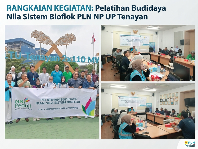 Sambut Dirgahayu Indonesia, PLN NP UP Tenayan Kembali Gelar Pelatihan Bioflok Nila, Dorong Pertumbuhan Ekonomi dan Ketahanan Pangan Warga