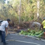 DIDUGA PUNTUNG ROKOK, API HAMPIR MELUAS DI JALAN POROS TELUK HARAPAN MARATUA