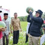 Bupati Siak Afni: Dana Desa yang Amanah Buktikan Ketahanan Pangan Bisa Tumbuh dari Kampung