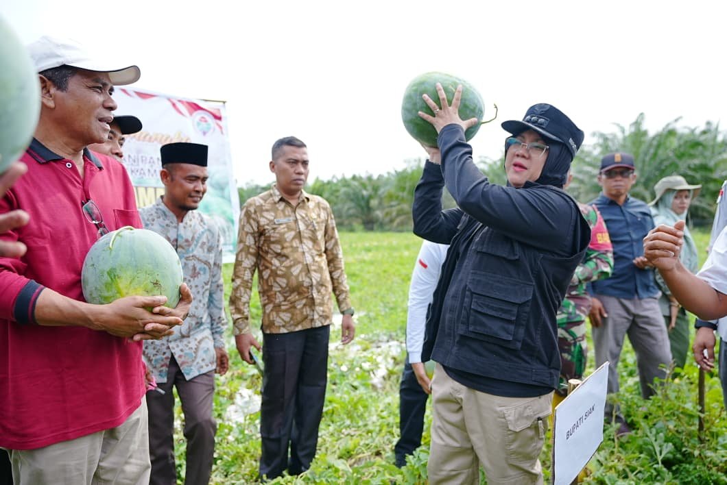 Bupati Siak Afni: Dana Desa yang Amanah Buktikan Ketahanan Pangan Bisa Tumbuh dari Kampung